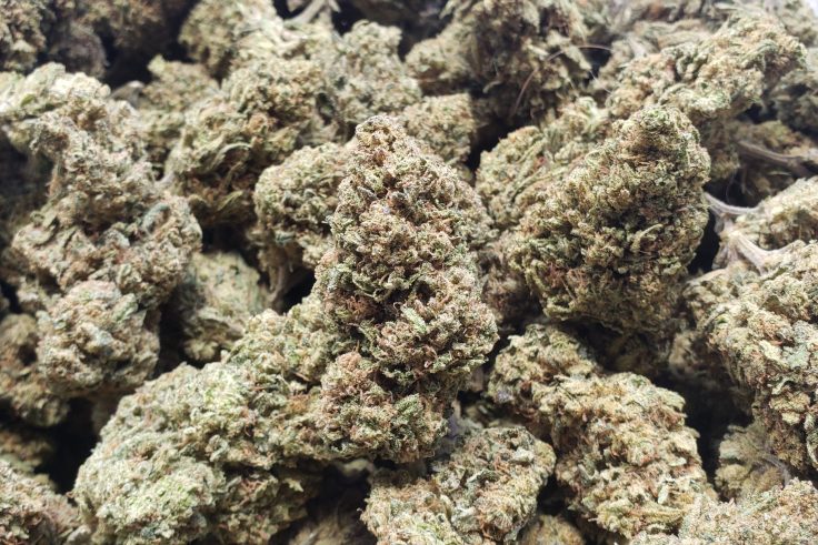 Weed Dispensary Delivery