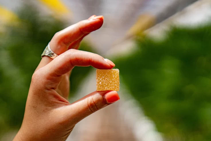 are delta 9 edibles safe